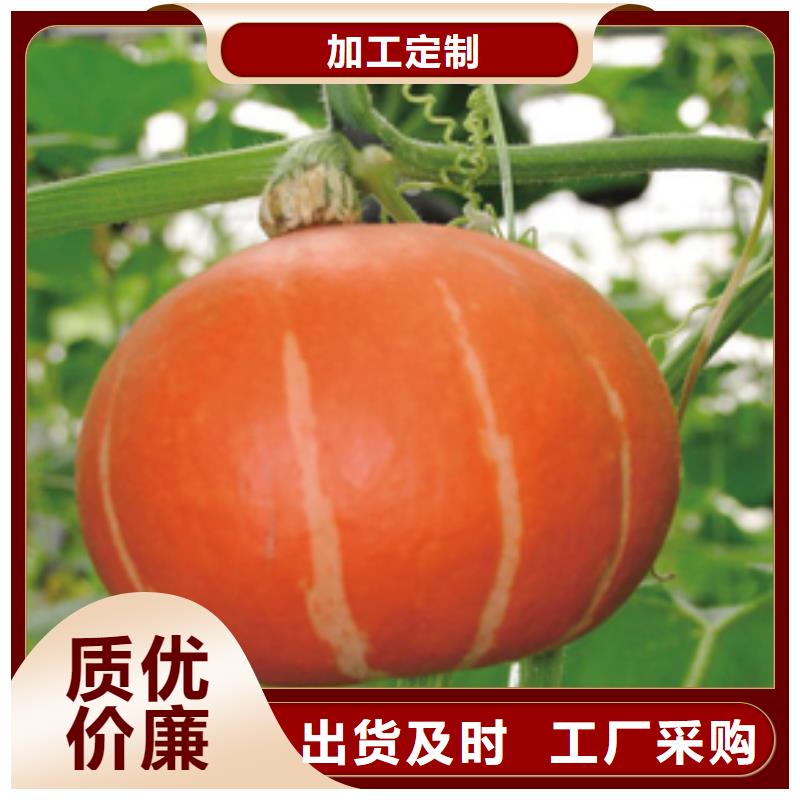 南瓜粉好貨促銷