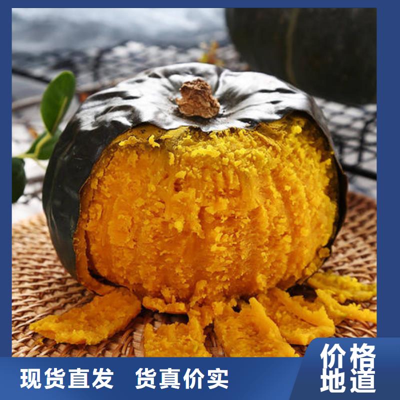 南瓜粉-回購率高