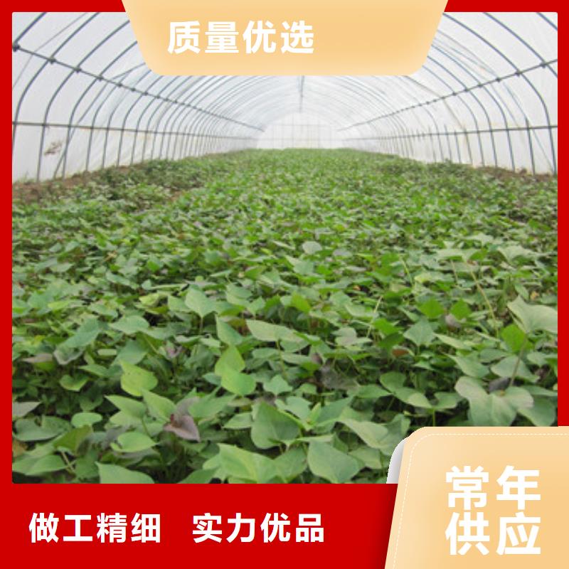 苗施工安裝