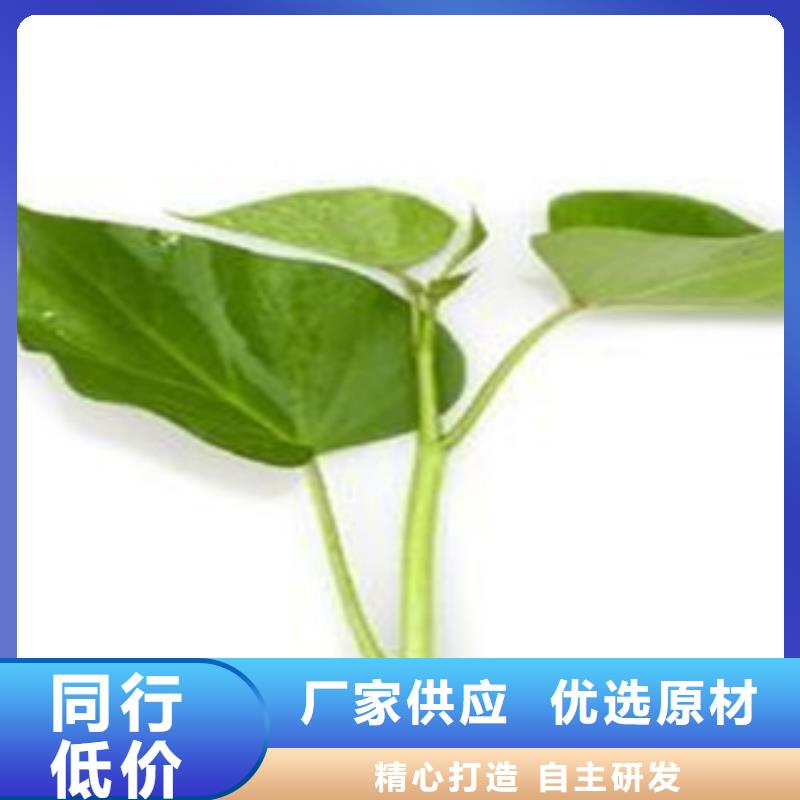 買苗認(rèn)準(zhǔn)樂農(nóng)食品有限公司