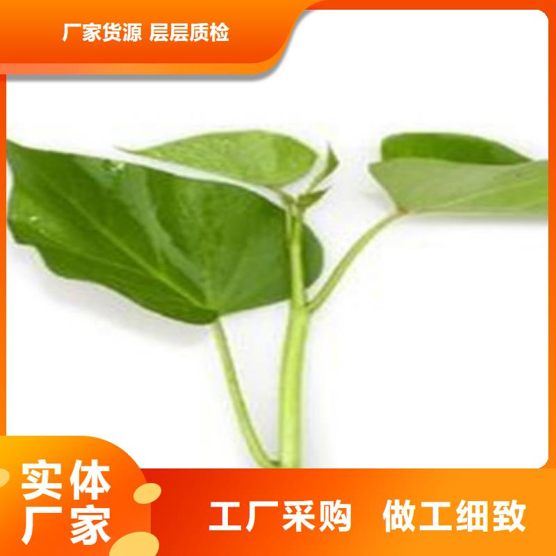 苗批發(fā)廠家價格優(yōu)惠