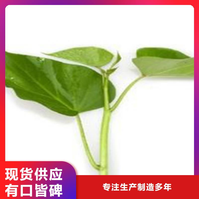 從事苗銷售的廠家