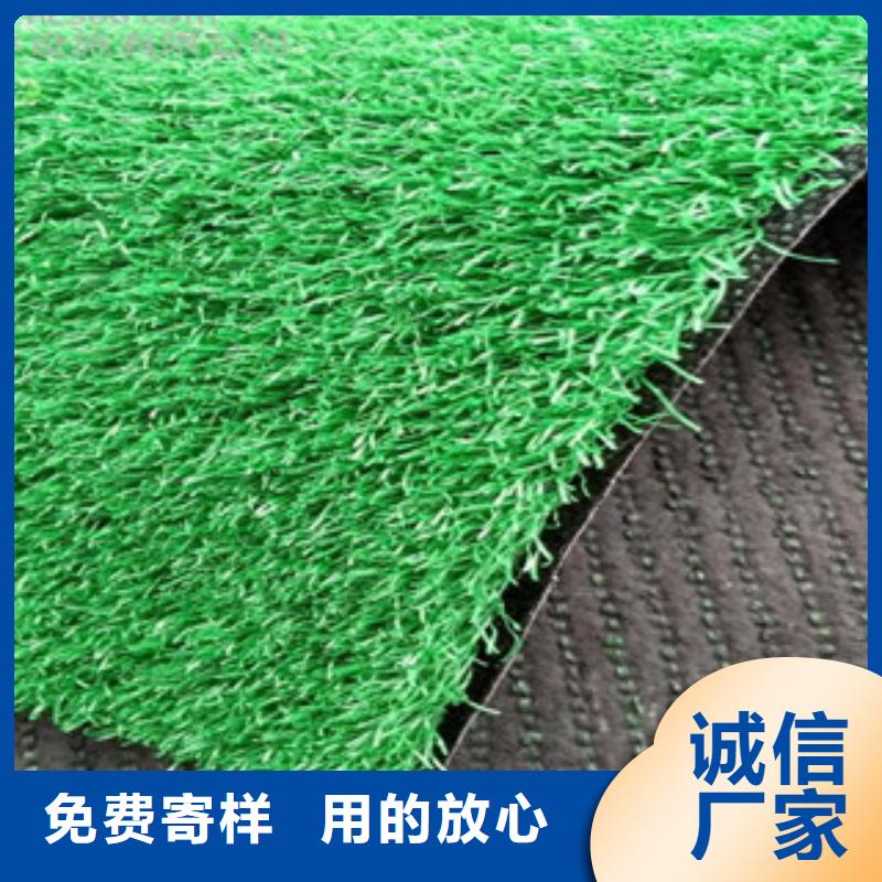 人造草坪品質(zhì)與價(jià)格同行