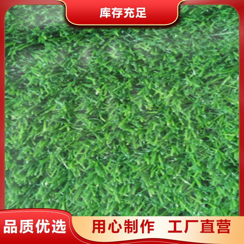 重信譽(yù)人造草坪供貨商