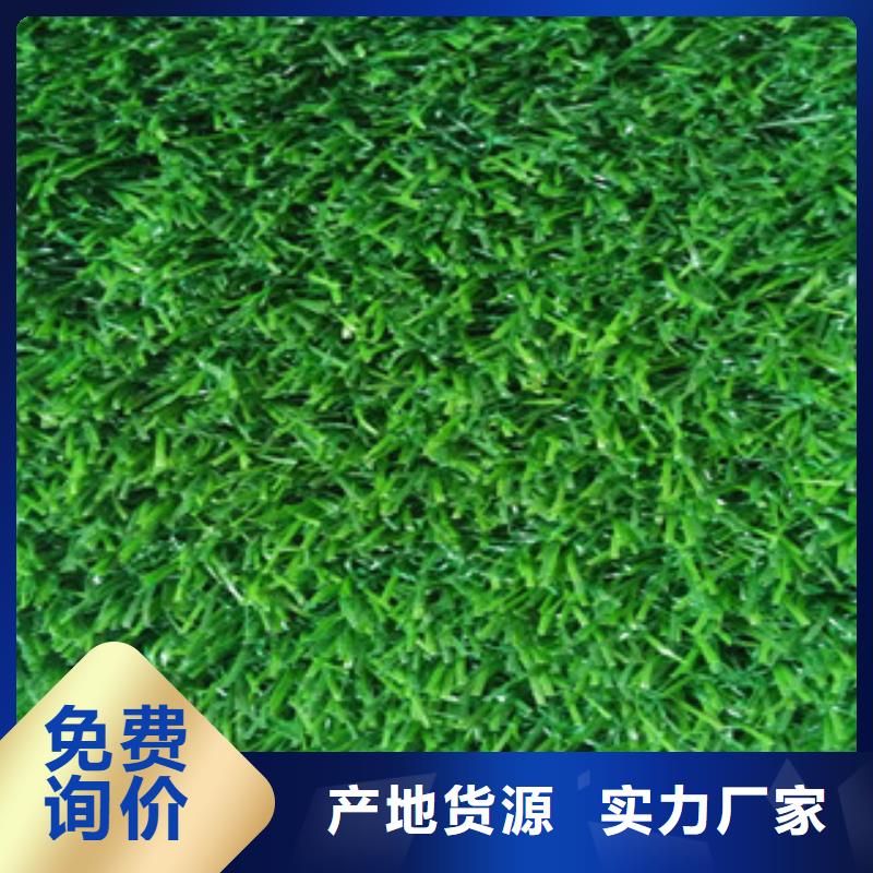 人造草坪品牌廠家價(jià)格優(yōu)惠