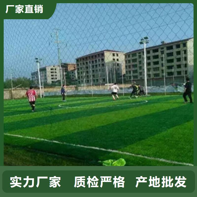 優(yōu)惠的人造草坪實(shí)力廠家