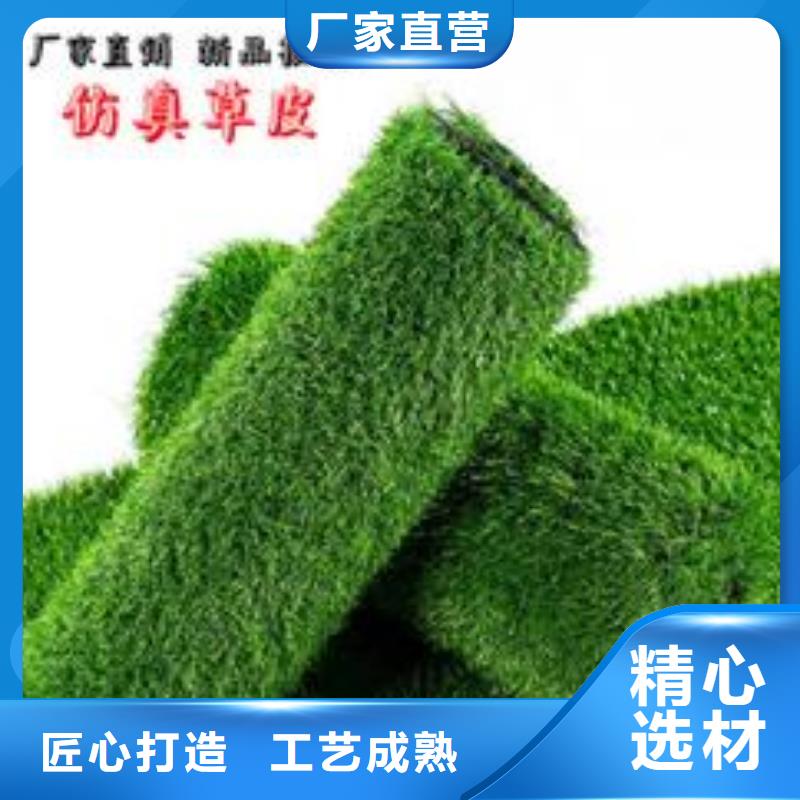 批發(fā)人造草坪_品牌廠家