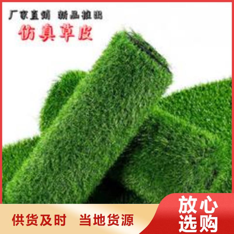 賣(mài)人造草坪的經(jīng)銷(xiāo)商
