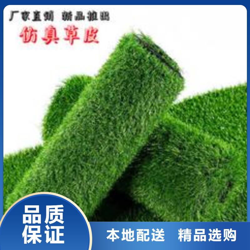 人造草坪精選商家