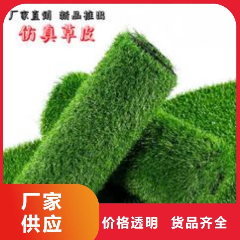 人造草坪廠家現(xiàn)貨直銷同城生產(chǎn)商