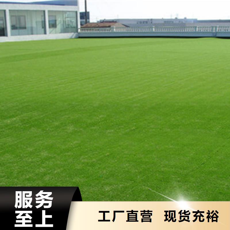 人造草坪-人造草坪本地廠家當(dāng)?shù)貜S家