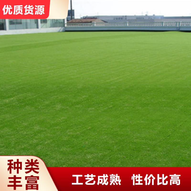 批發(fā)人造草坪_品牌廠家