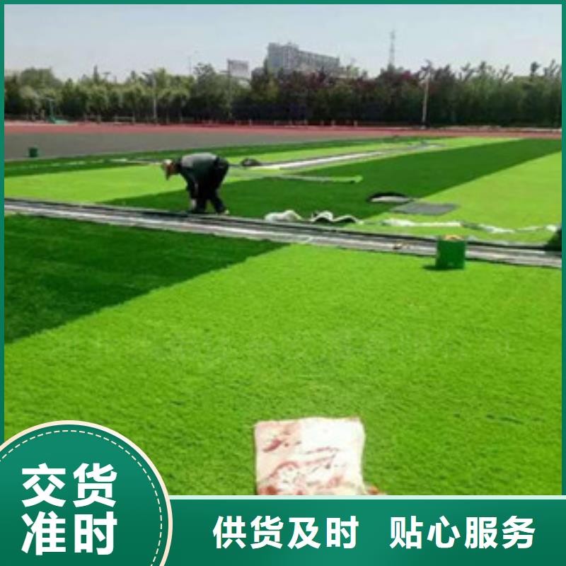 人造草坪品質(zhì)甄選