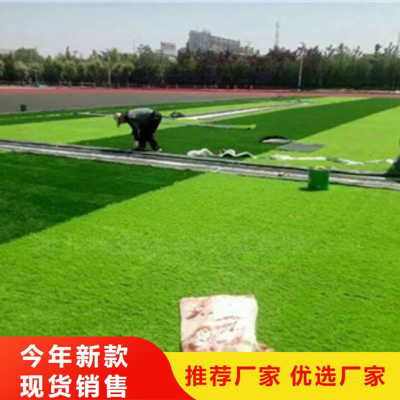 人造草坪廠家質(zhì)量優(yōu)價(jià)格低