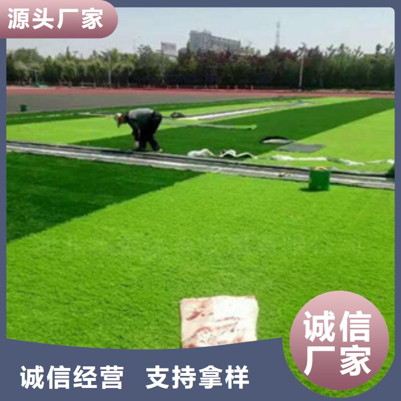 人造草坪生產(chǎn)制造廠家