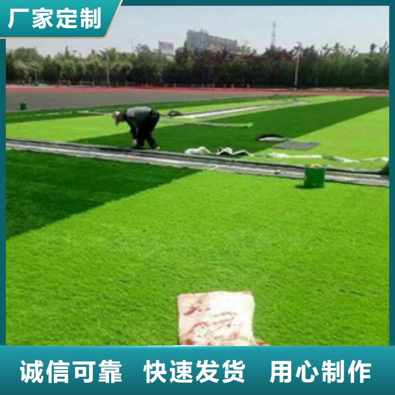 定制人造草坪公司