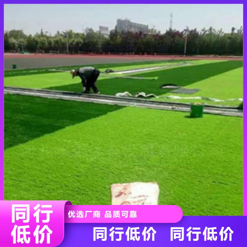 經(jīng)驗豐富的人造草坪公司