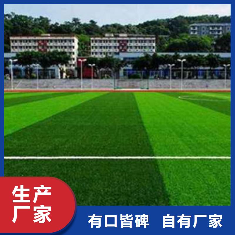 可定制的人造草坪廠家本地貨源