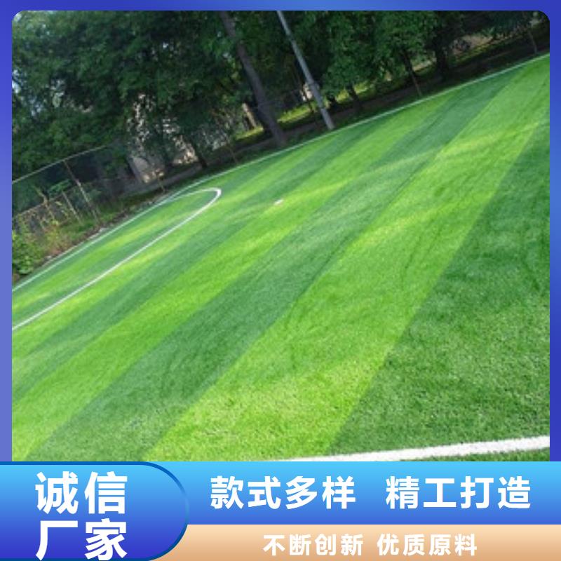 人造草坪生產(chǎn)廠家歡迎致電嚴選材質(zhì)