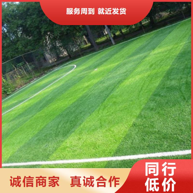 人造草坪設(shè)計廠家