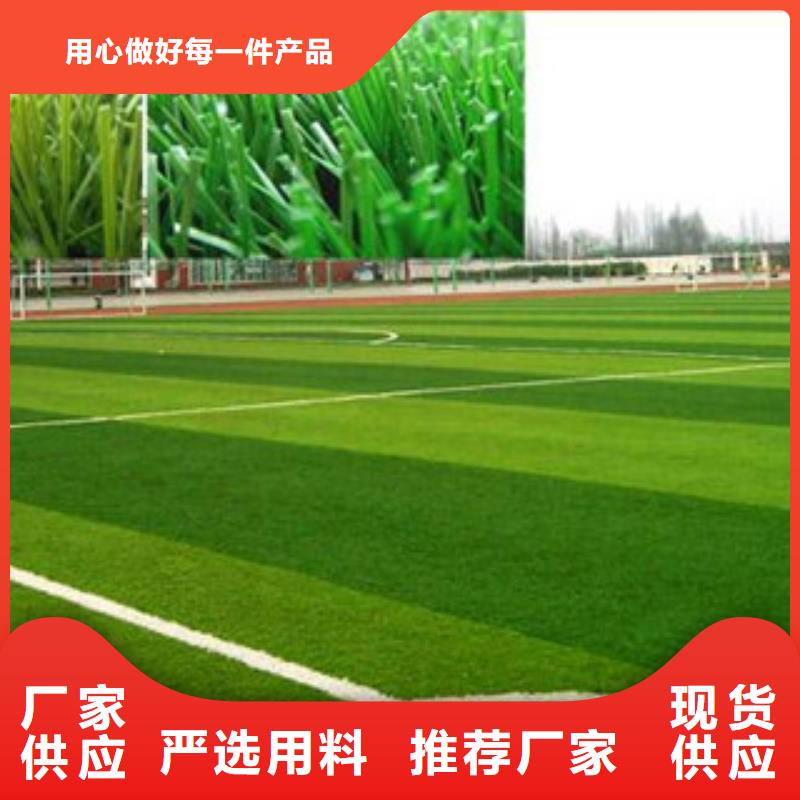 人造草坪行業(yè)經(jīng)驗(yàn)豐富