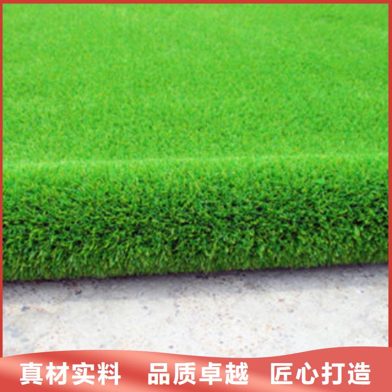 規(guī)模大的人造草坪廠家發(fā)貨及時(shí)