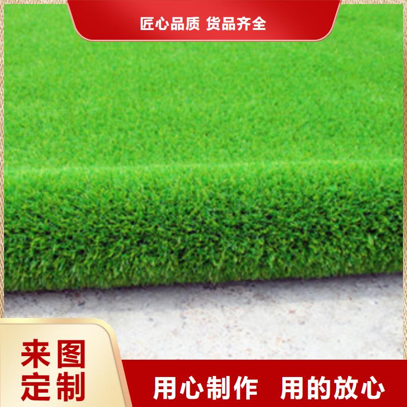 人造草坪廠家供應(yīng)源頭廠家