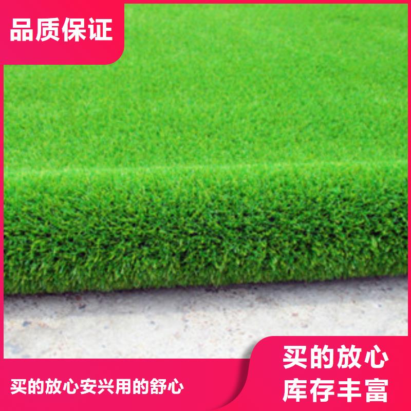人造草坪質(zhì)量靠譜