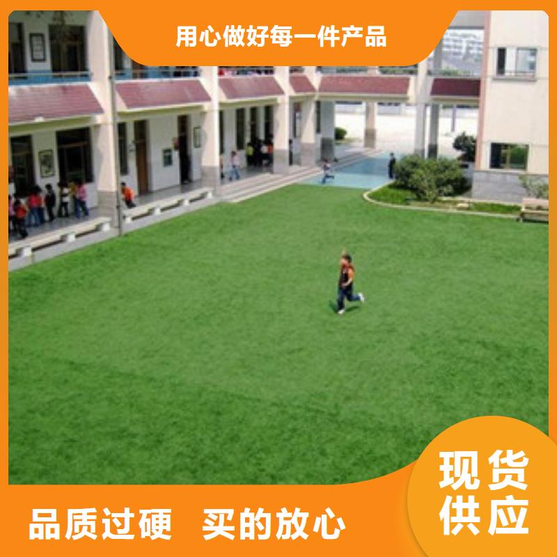 人造草坪品質(zhì)與價(jià)格同行當(dāng)?shù)毓?yīng)商