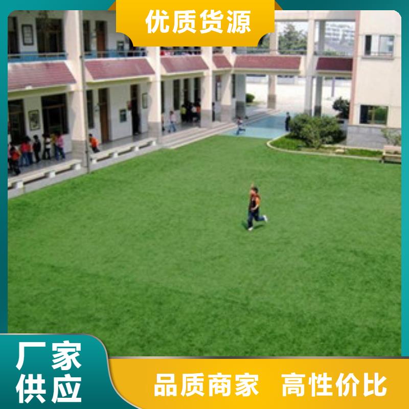 定制人造草坪的供貨商