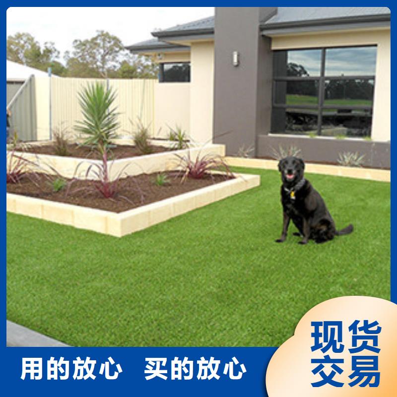 2025有現(xiàn)貨的#人造草坪公司#用戶好評(píng)