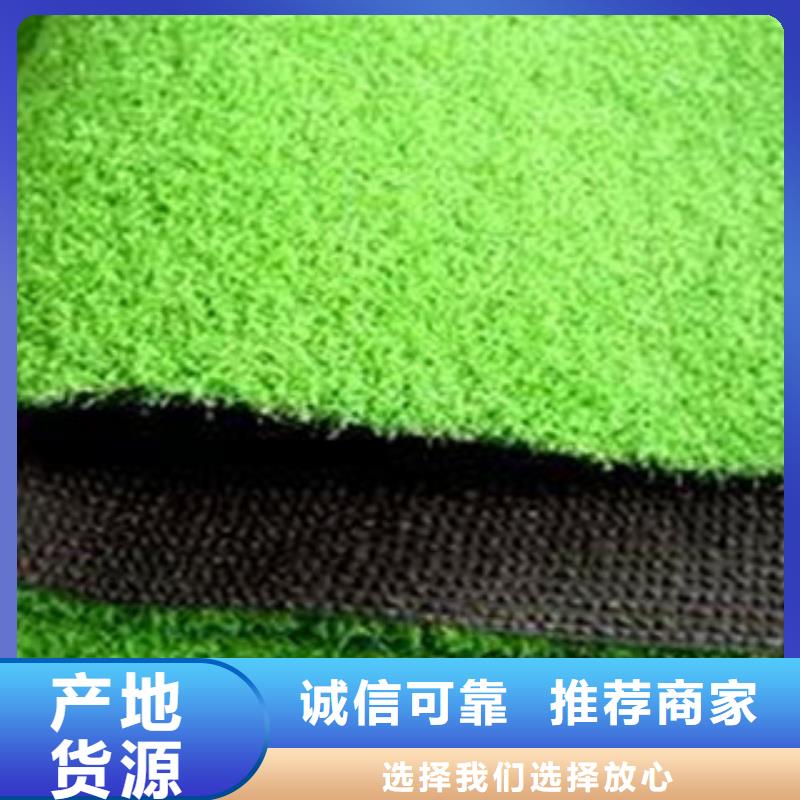 人造草坪品質(zhì)與價(jià)格同行