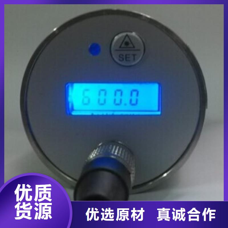 WH-IR分體耐高溫紅外測(cè)溫儀品牌廠家-放心選購(gòu)