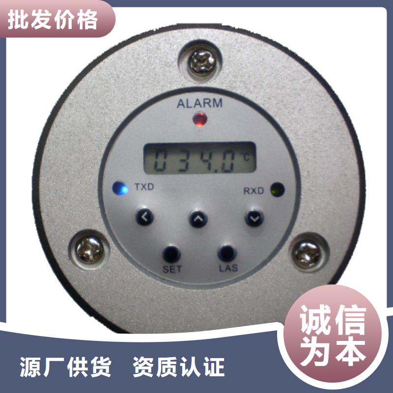 WH-IR分體耐高溫紅外測(cè)溫儀訂購找大品牌產(chǎn)品參數(shù)