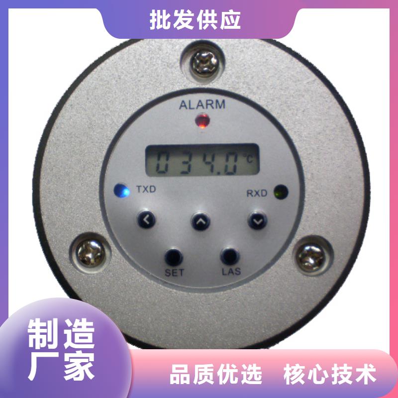 WH-IR分體耐高溫紅外測溫儀品牌