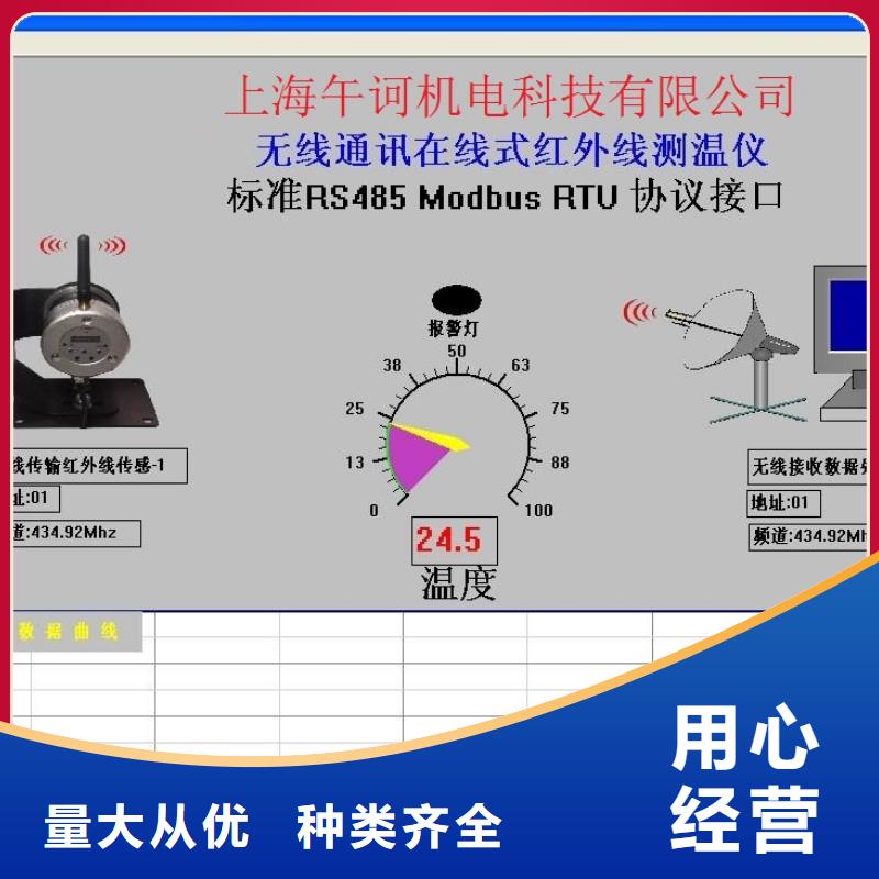 信譽(yù)好的WH-IR分體耐高溫紅外測(cè)溫儀廠家