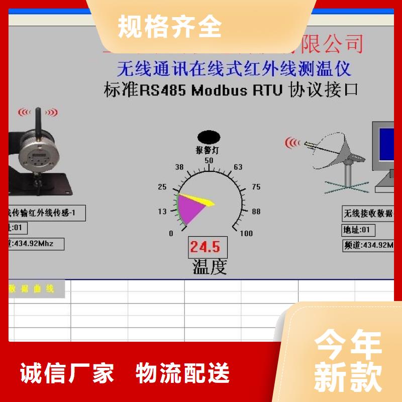 WH-IR分體耐高溫紅外測(cè)溫儀物流快捷