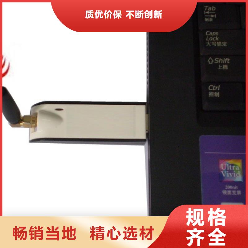 WH-IR分體耐高溫紅外測溫儀可定制廠家