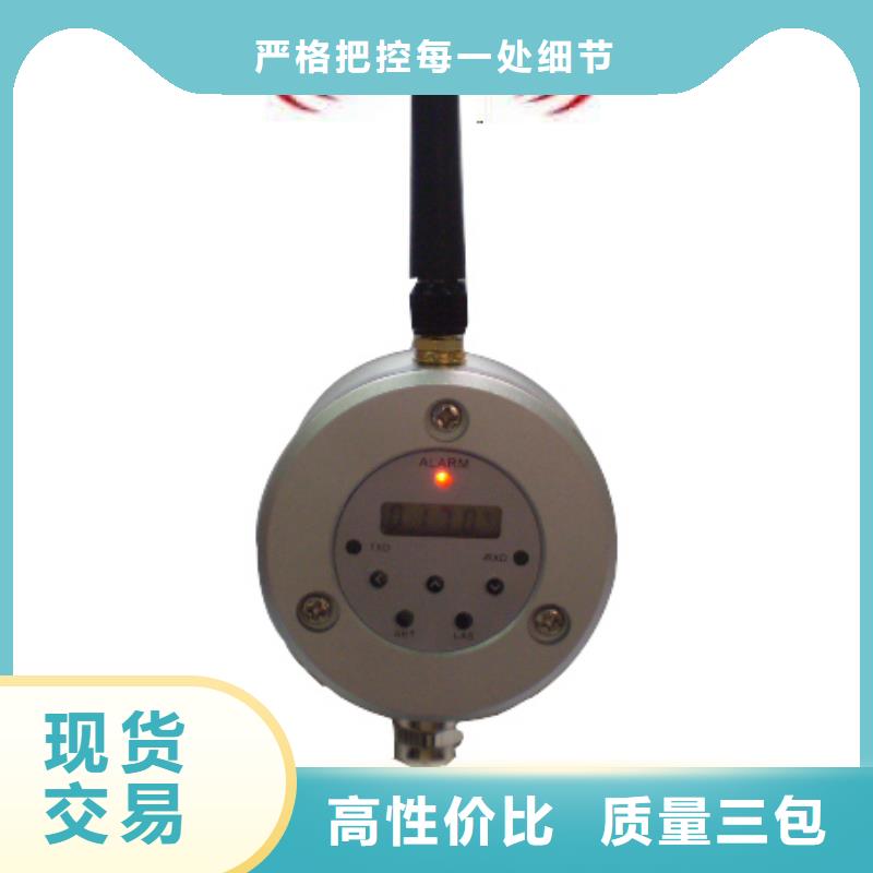 WH-IR分體耐高溫紅外測(cè)溫儀物流快捷