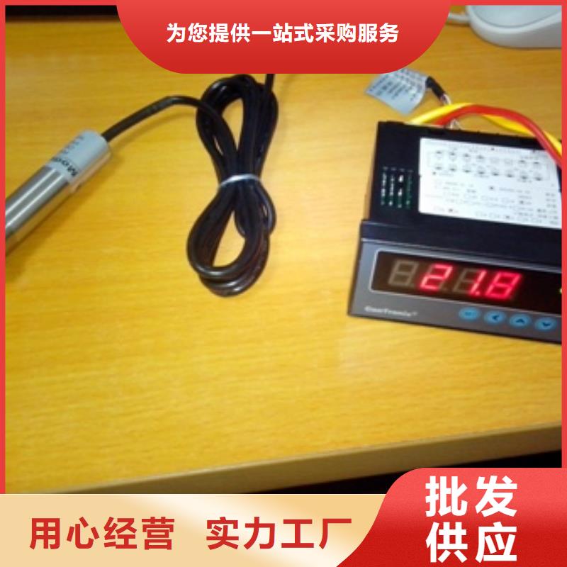 WH-IR分體耐高溫紅外測溫儀質(zhì)量可靠的廠家