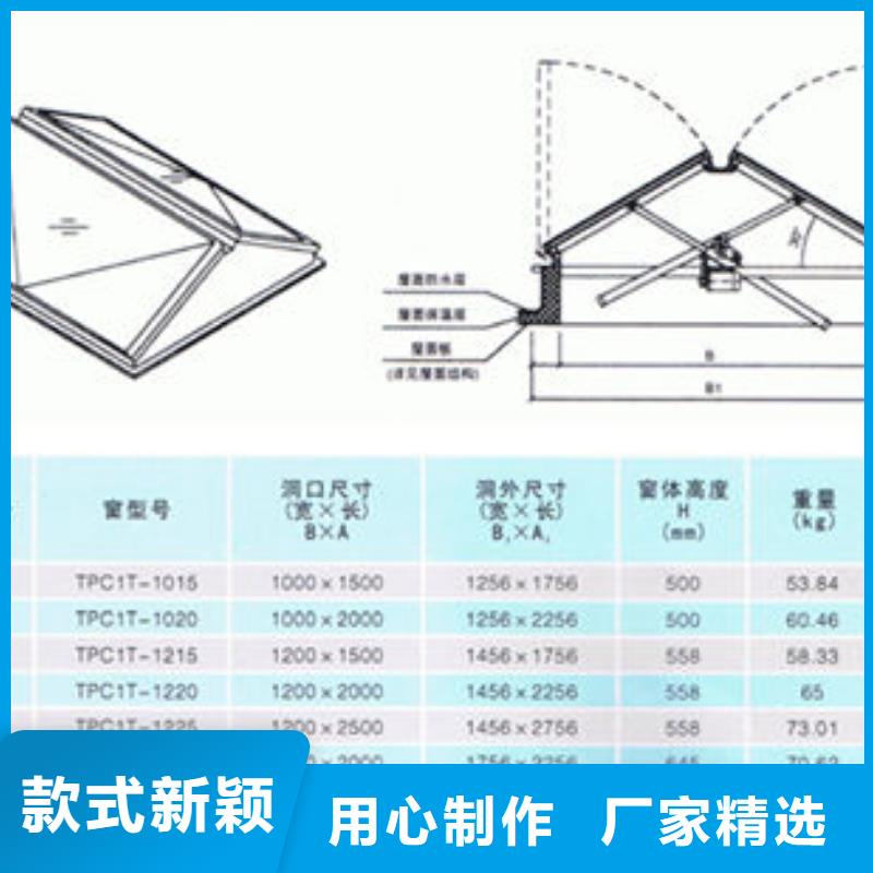 專業(yè)銷售一字型天窗-品牌保質(zhì)保量