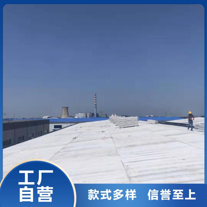 廠家供應(yīng)輕質(zhì)屋面板