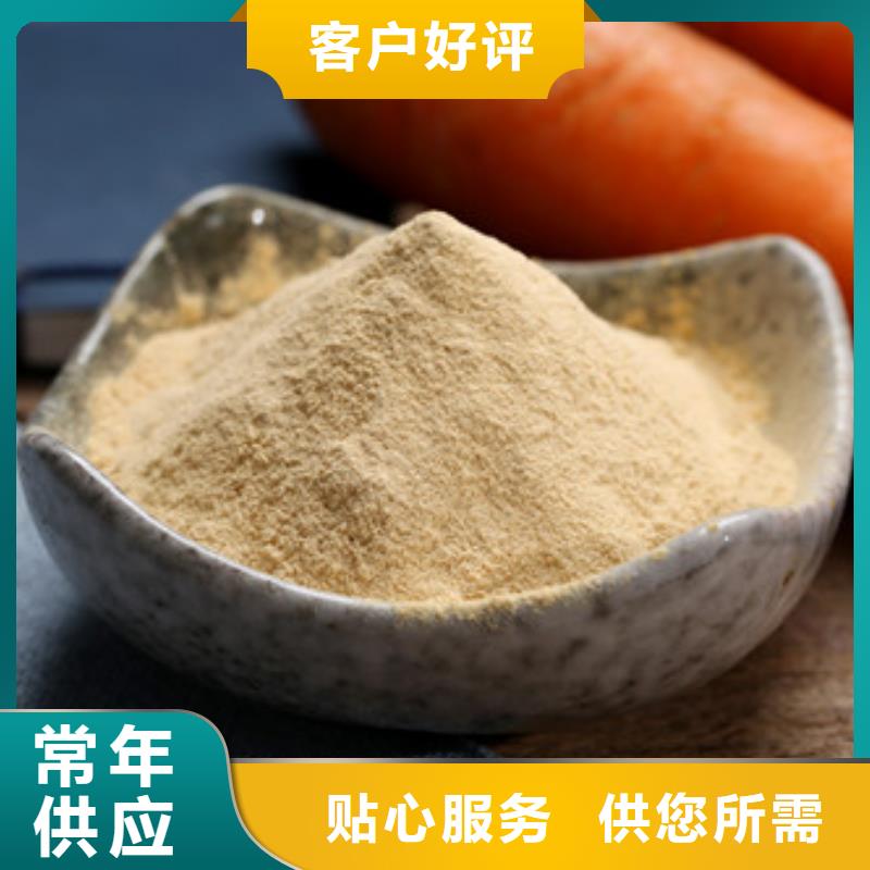 胡蘿卜粉-廠家直供