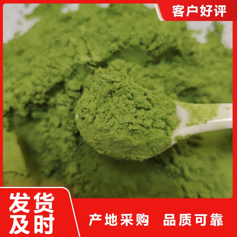 性價比高的菠菜粉基地