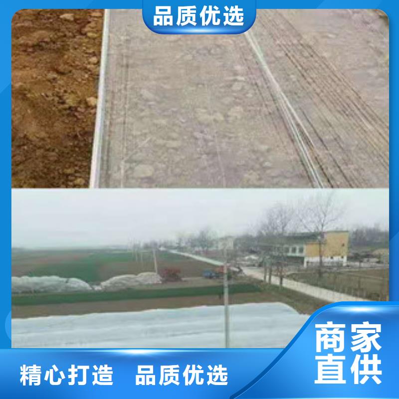 庫存充足的紫薯苗基地一手貨源