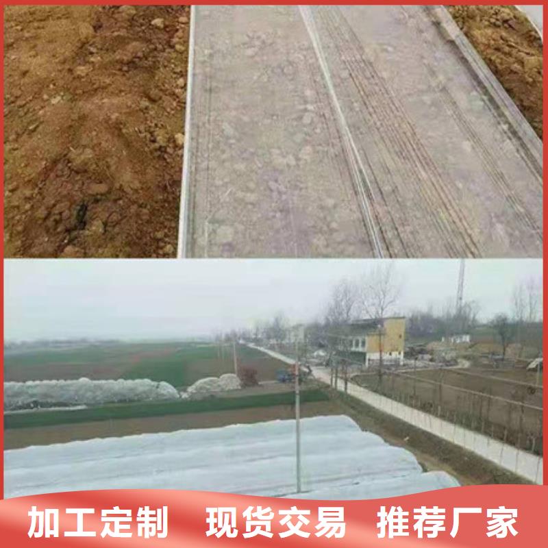 紫薯苗1供應(yīng)商價(jià)格