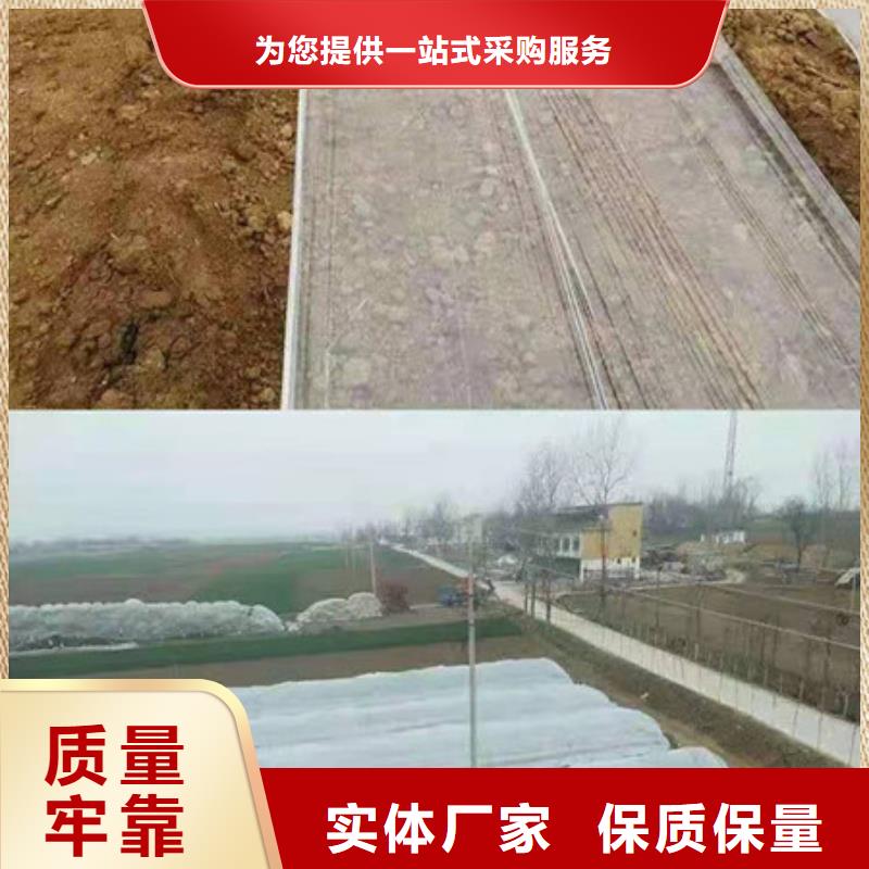 紫薯苗1貼心服務海量現(xiàn)貨直銷