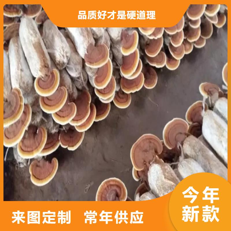 靈芝片品質(zhì)放心