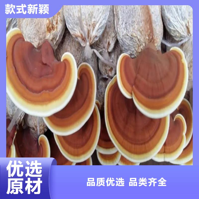 沙縣靈芝孢子粉怎么吃