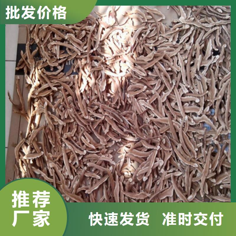 明溪縣靈芝孢子粉的食用方法